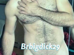 Brbigdick29