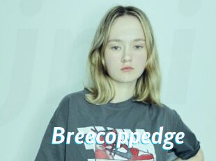 Breecoppedge