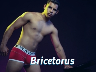 Bricetorus