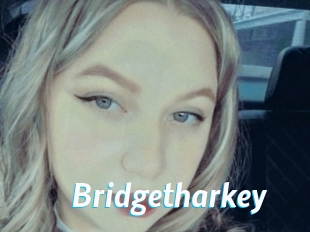 Bridgetharkey