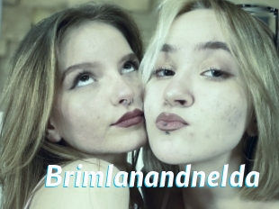 Brimlanandnelda