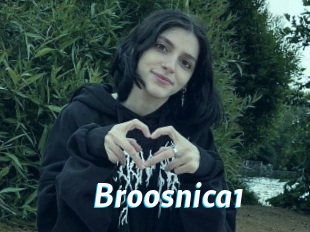 Broosnica1