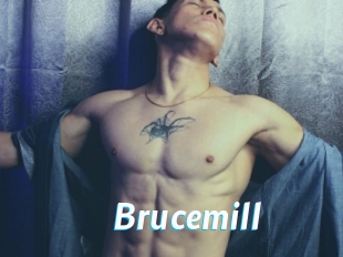 Brucemill