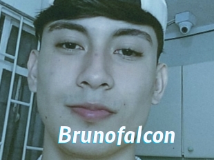 Brunofalcon