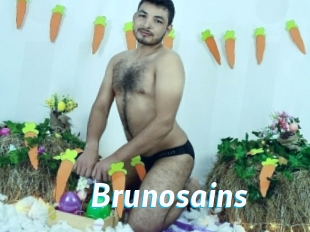 Brunosains