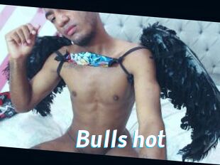 Bulls_hot