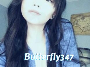 Butterfly347