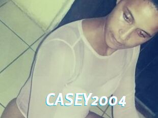 CASEY2004