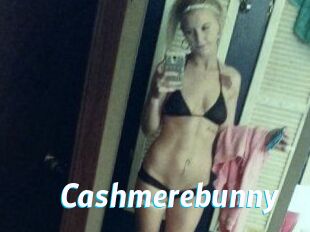 Cashmerebunny