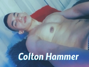 Colton_Hammer