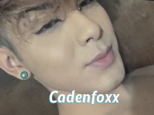 Cadenfoxx