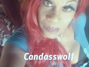 Candasswolf