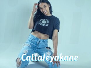 Cattaleyakane