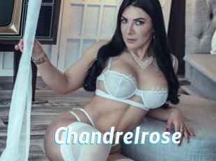 Chandrelrose