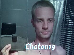 Chaton19