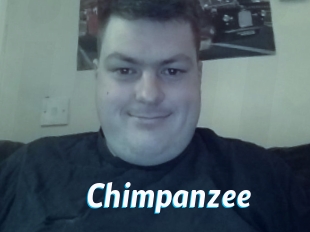 Chimpanzee