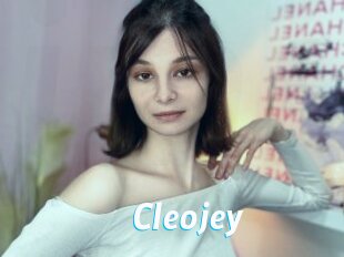 cleojey J Mine