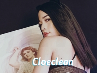 Cloeclean