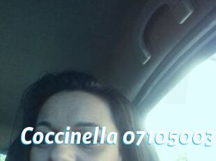 Coccinella-07105003