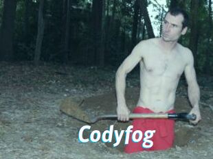 Codyfog