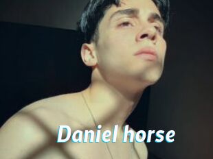 Daniel_horse