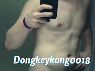 Dongkeykong0018