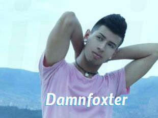 Damnfoxter