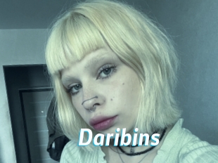 Daribins