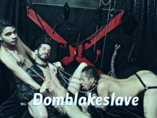 Domblakeslave