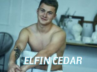 ELFIN_CEDAR