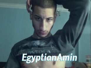 EgyptianAmin