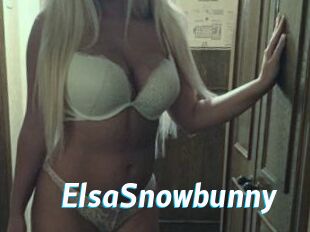 ElsaSnowbunny