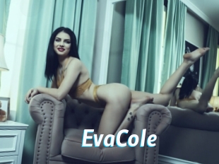 EvaCole