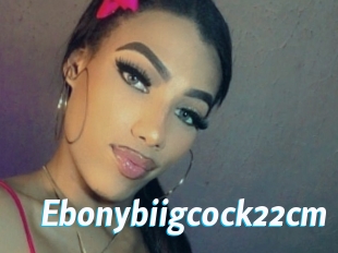 Ebonybiigcock22cm