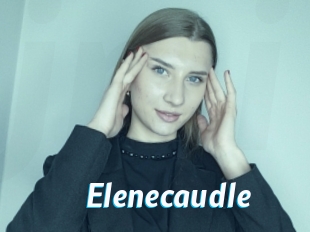 Elenecaudle