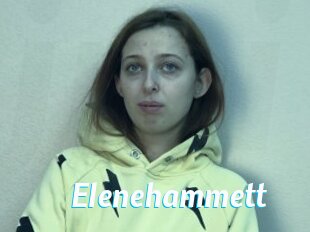 Elenehammett