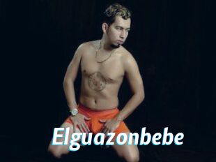 Elguazonbebe