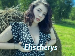 Elischerys