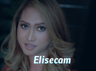 Elisecam