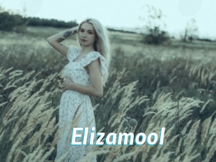 Elizamool