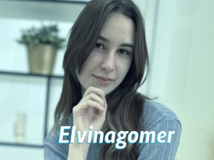 Elvinagomer