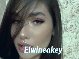 Elwineakey