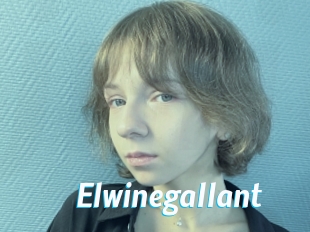 Elwinegallant