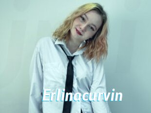 Erlinacurvin