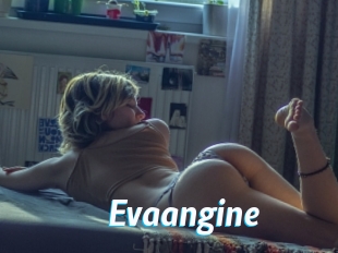 Evaangine