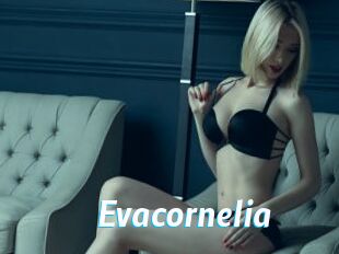 Evacornelia