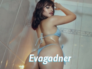 Evagadner