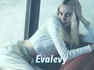 Evalevy