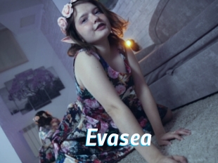 Evasea