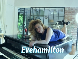 Evehamilton